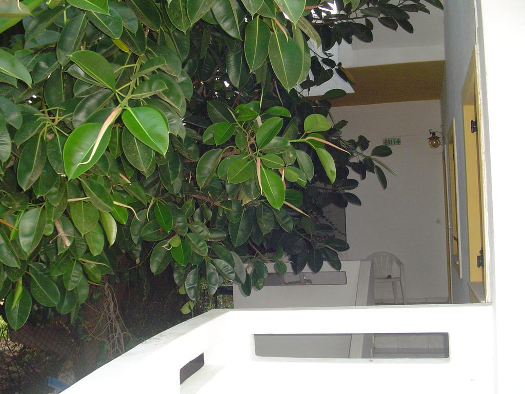 Apartamento Kiveli